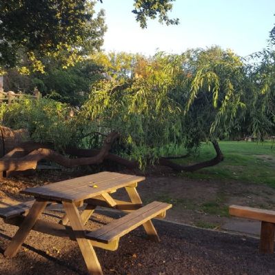 glorious summer morning in the Church Hill garden